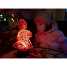 3D лампа "Ра"(УВЕЛИЧЕННОЕ ИЗОБРАЖЕНИЕ) подарочная упаковка + 16 цветов + пульт ДУ + сетевой адаптер + батарейки (3ААА) 3DTOYSLAMP