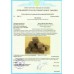 Подарочная коробка для виски с камнями для виски, стаканами (Bormolio Rocco Dedalo 260мл) и местом под бутылку Подарочная коробка для виски с камнями для виски, стаканами (Bormolio Rocco Dedalo 260мл) и местом под бутылку